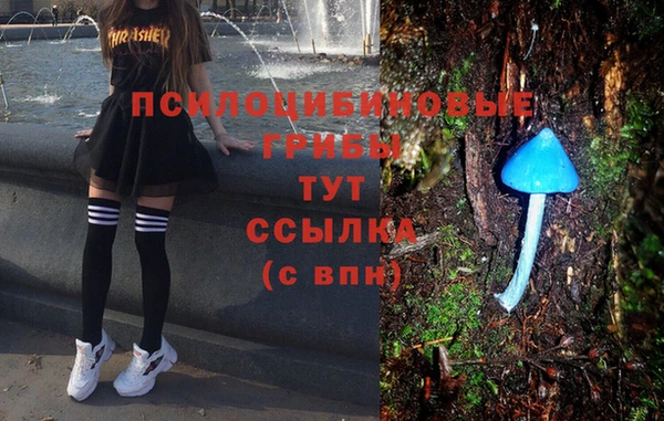 дживик Верхний Тагил