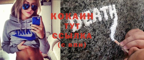 дживик Верхний Тагил