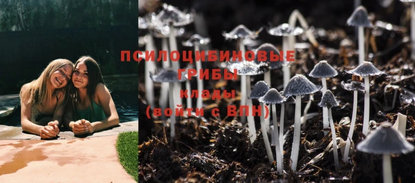 гидра Верхнеуральск