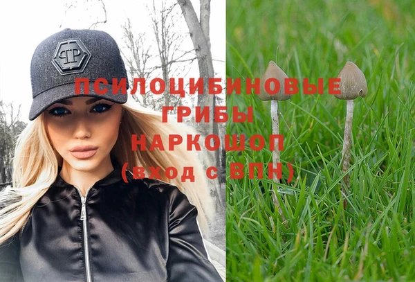 амф Верея