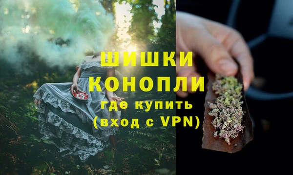 амф Верея