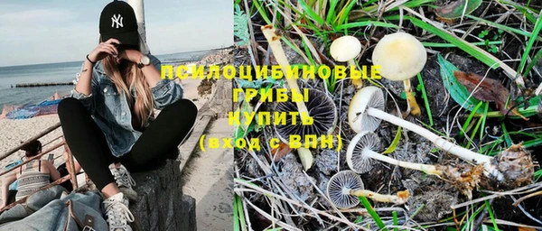 дживик Верхний Тагил
