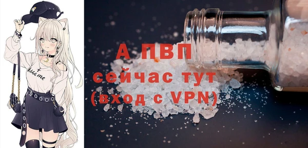 дживик Верхний Тагил