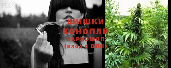 амф Верея