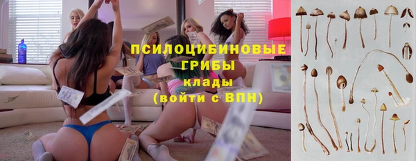 дживик Верхний Тагил