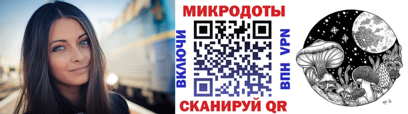 Галлюциногенные грибы Cubensis  где купить наркотик  Владимир 